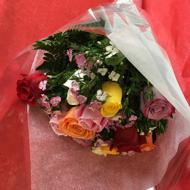 12 long stem multi-color roses, wrapped only - valentines day image 0