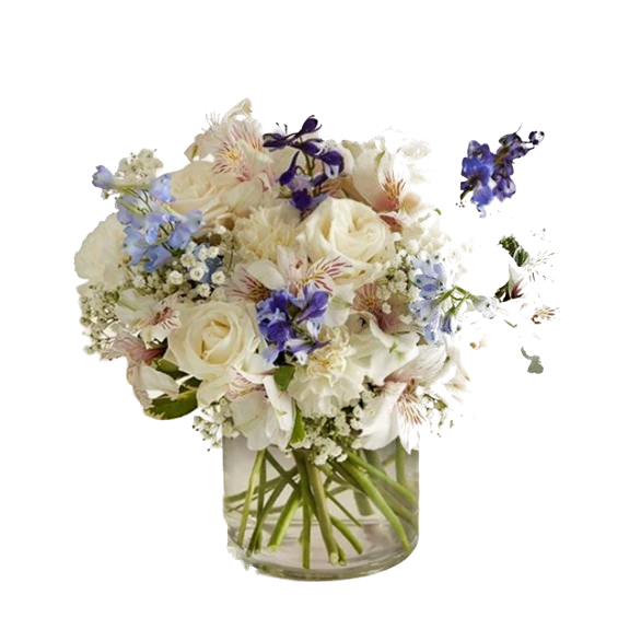 Delphinium Meadow