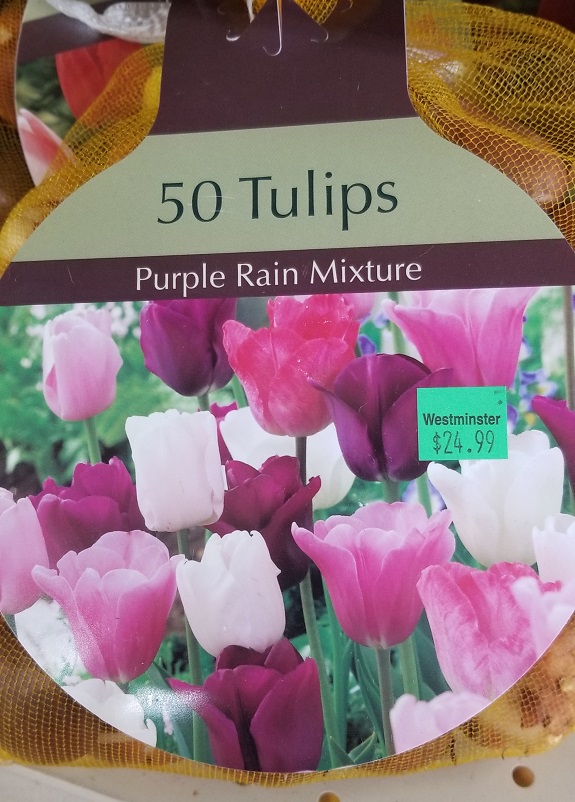 Purple Rain Mixture
