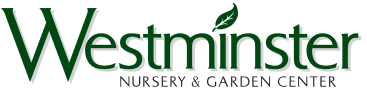 Logo for 